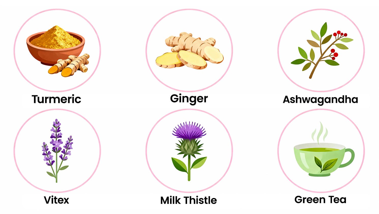 Herbs For Endometriosis Relief